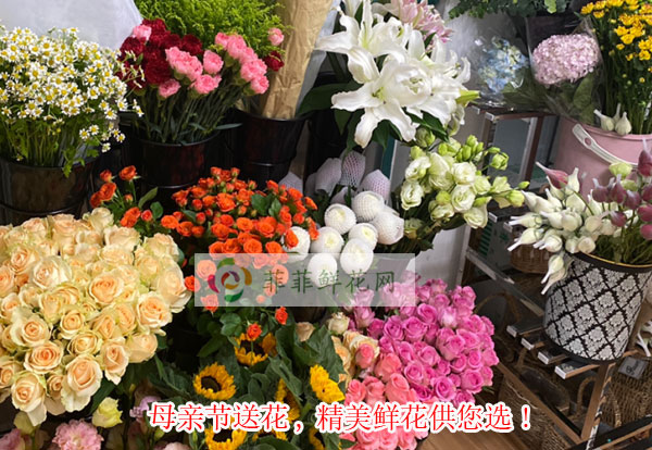 2024成安县母亲节送花,成安县精美鲜花供您选!